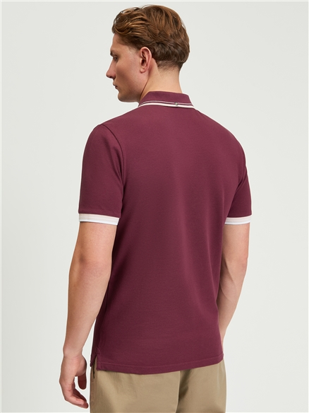 Signature Pique Polo in Aubergine