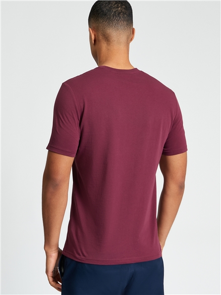 Core Stripe Tee in Aubergine