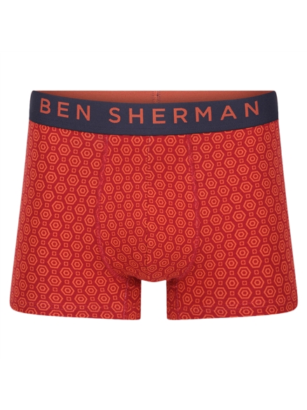 Brady 3 Pack Trunks