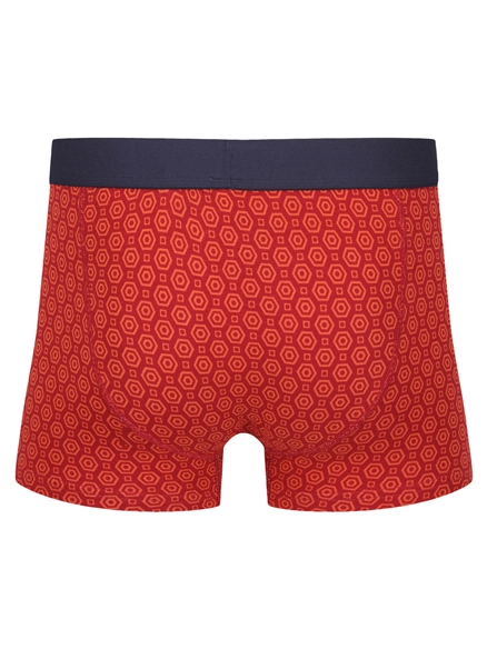 Brady 3 Pack Trunks