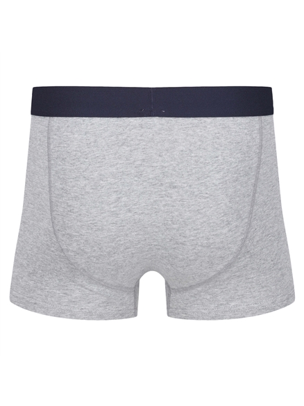 Brady 3 Pack Trunks