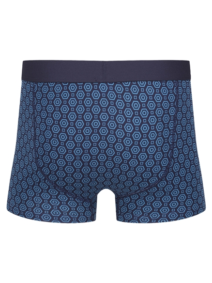 Brady 3 Pack Trunks