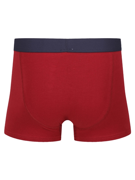 Bobby 3 Pack Trunk