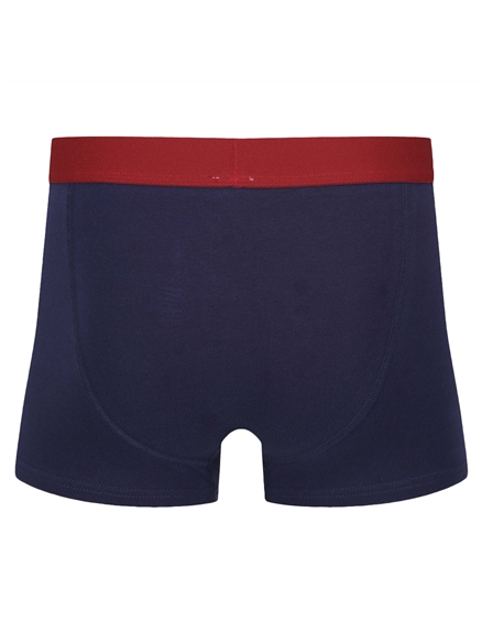 Bobby 3 Pack Trunk