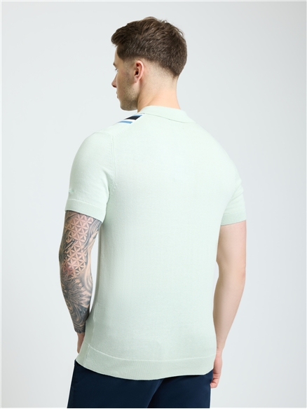 Short Sleeve Vertical Stripe Polo in Light Green