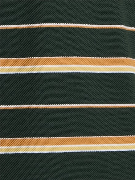 Short Sleeve Heritage Pique Stripe Tshirt in Bottle Green