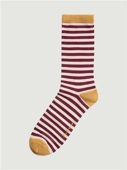 3 Pack Mod Stripe Sock in Wine