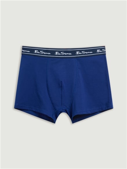 5 Pack Stripe Logo Trunks Assorted in Blue