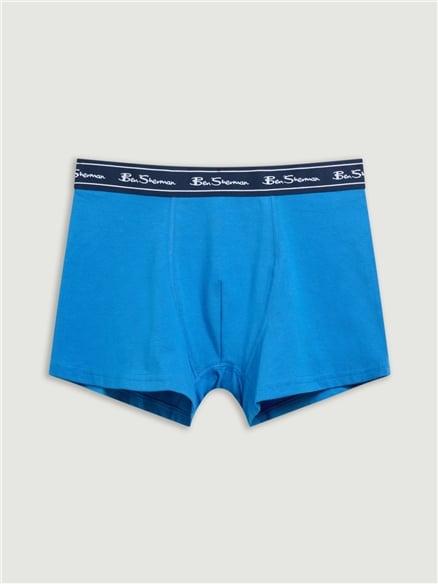 5 Pack Stripe Logo Trunks Assorted in Blue