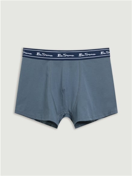5 Pack Stripe Logo Trunks Assorted in Blue