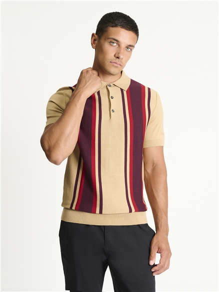 Short Sleeve Vertical Stripe Knitted Polo