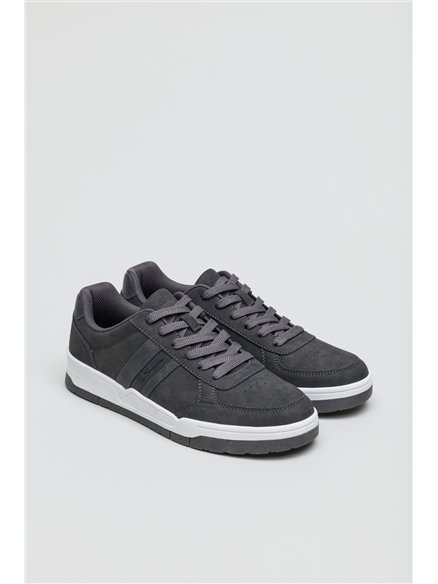 Curve Trainer