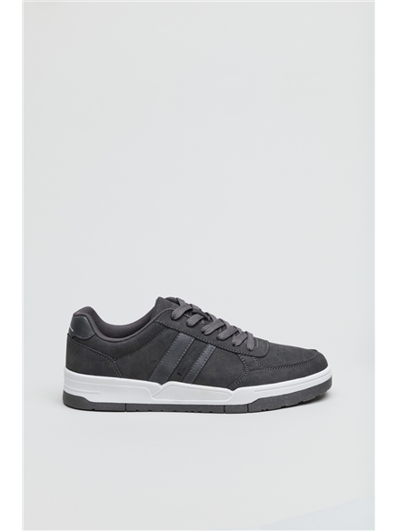 Curve Trainer