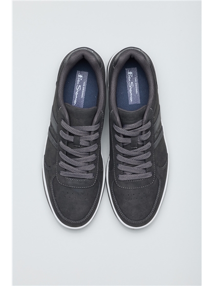 Curve Trainer