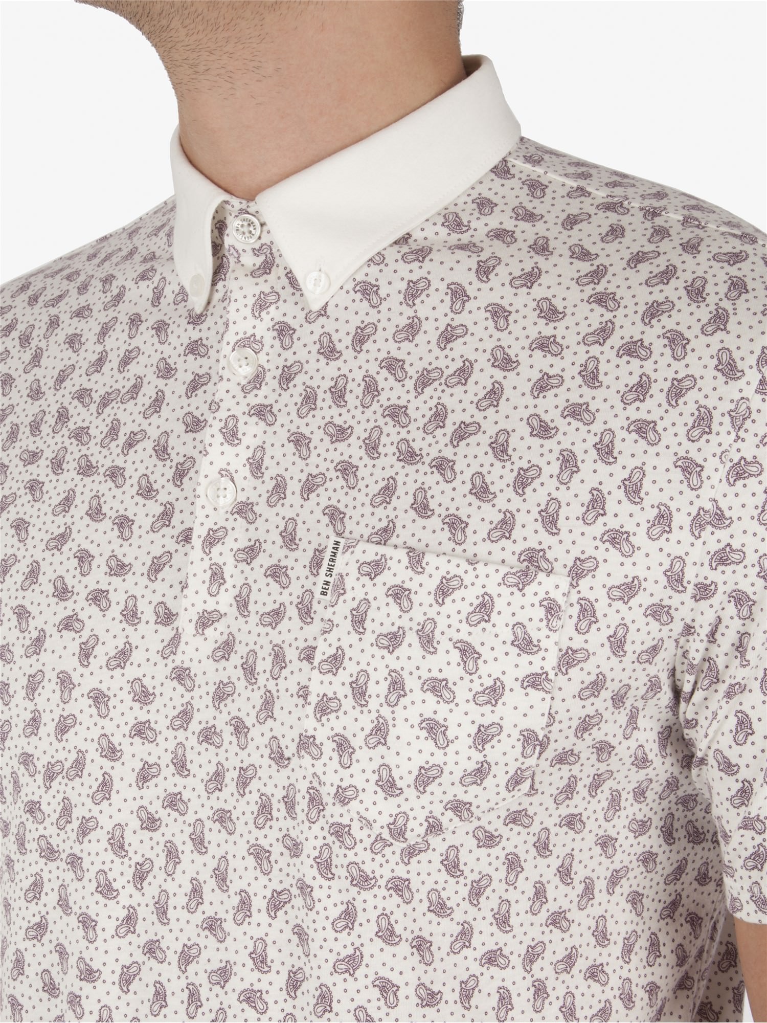 Paisley Print Polo